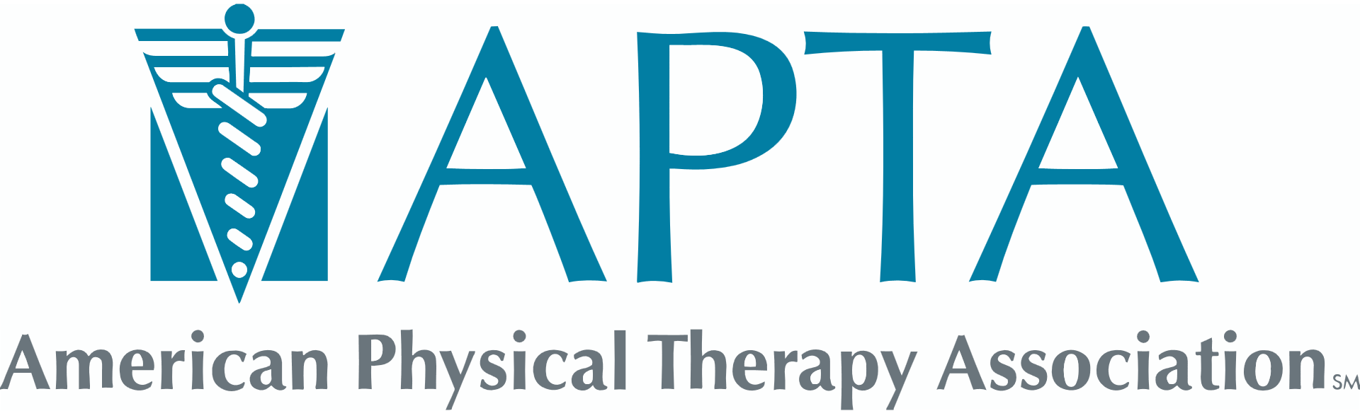 American Physical Therapy Association Logo